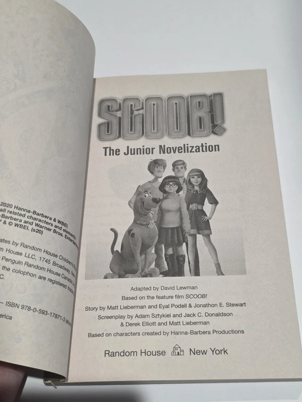 Source Unknown junior novelization